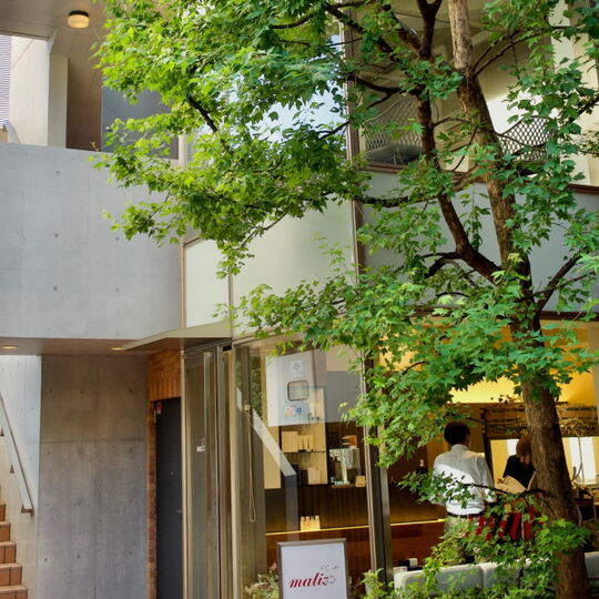 aoyama_06